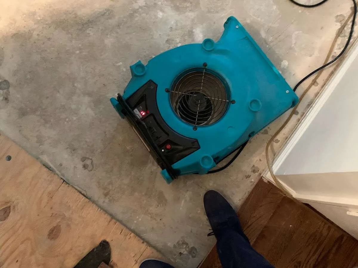 Air mover drying subfloor during Leak Detection & Repair in Franconia